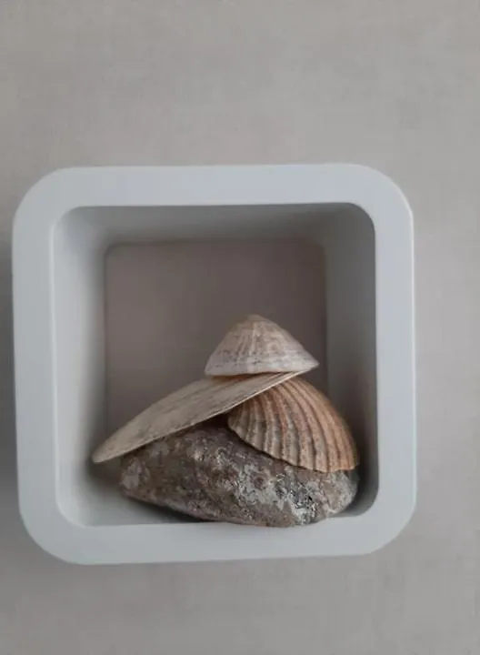 Frühstückspension 'T Zandmanneke Ostende